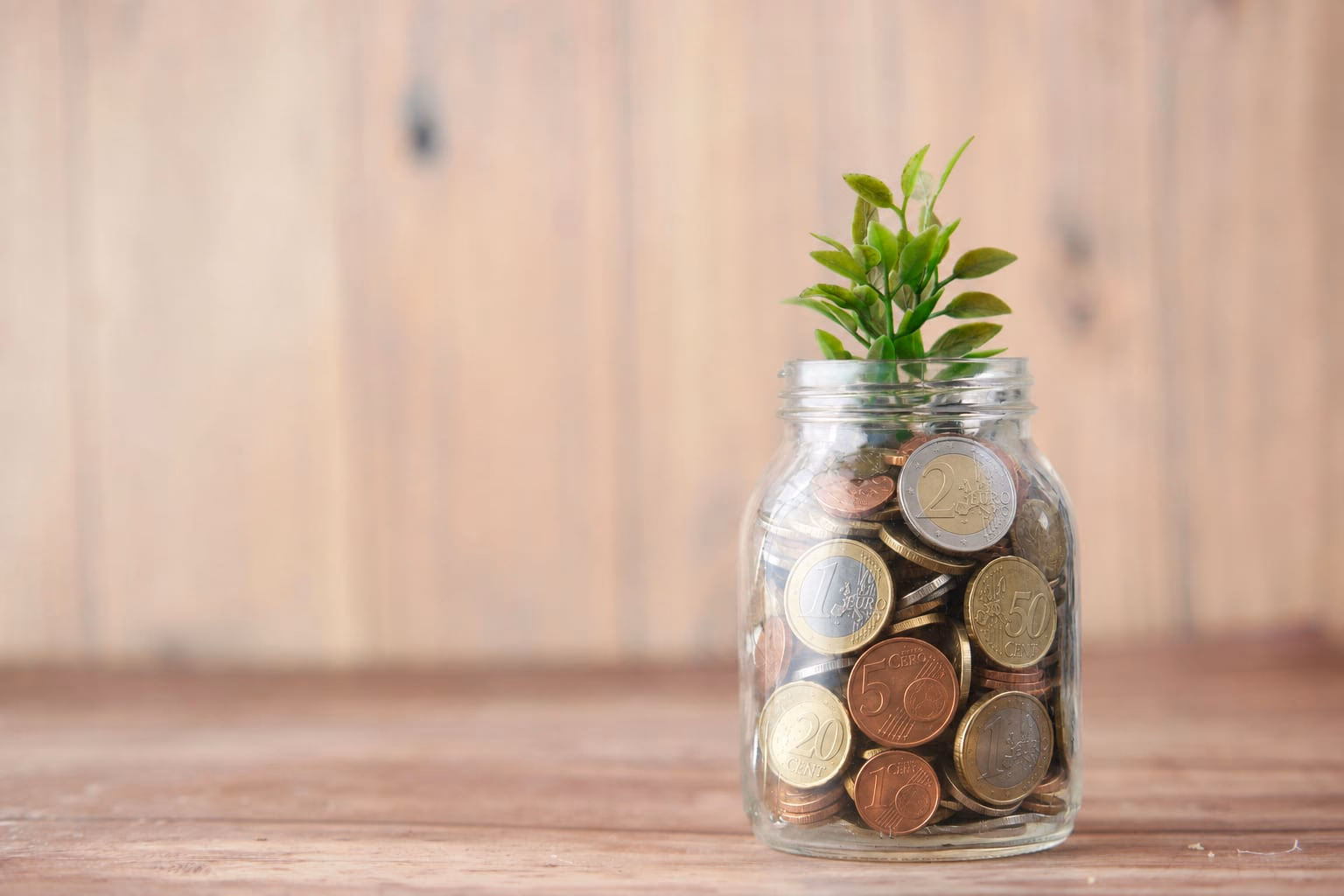 Spaarpot met munten en een groeiend plantje, symbool voor lage energiekosten